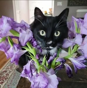 Meet your Posher, Kathy